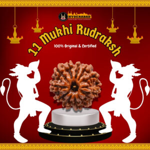 original rudraksh in hyderabad