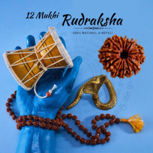 Divine 12 Mukhi Nepali Rudraksha – Symbol of Surya Dev's Power
